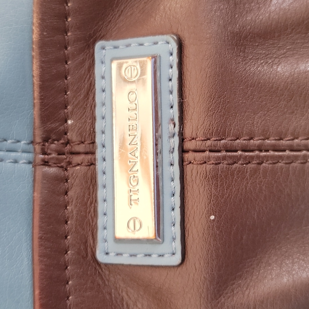 Tignanello Leather Hobo Bag